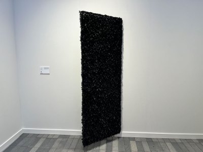 A door covered in black feathers is installed on a wall.