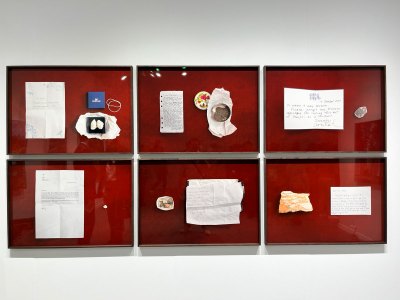 A grid of six photographs showing a letter and object from Pompeii on a red background.