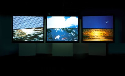 A three-channel video installation in which each screen is almost perfectly bisected and shows different images in each half.